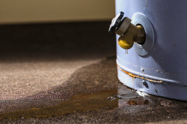 Best Local water damage restoration  in Shady Spring, WV