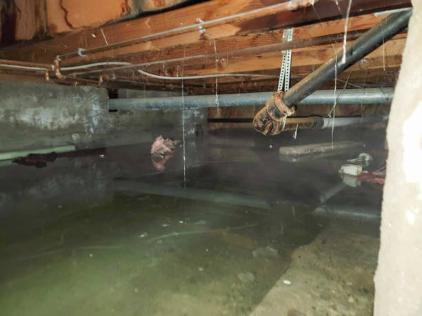Professional Water damage restoration in Shady Spring, WV