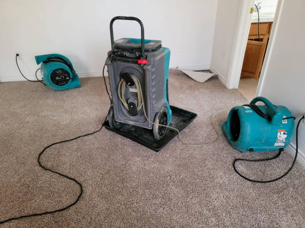 Best Basement water damage restoration  in Shady Spring, WV