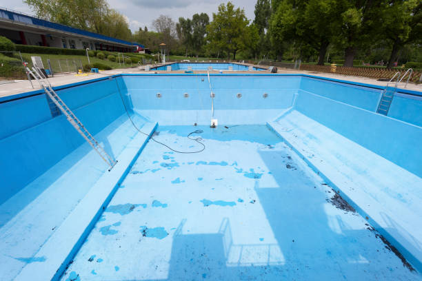 Best Flood damage cleanup  in Shady Spring, WV