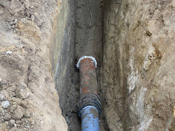 Best 24/7 water damage repair  in Shady Spring, WV