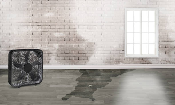 Best Sewage cleanup and water damage restoration  in Shady Spring, WV
