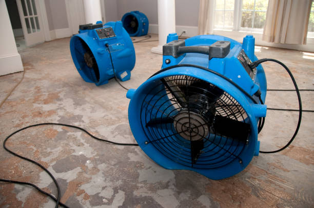 Best 24-hour water damage restoration  in Shady Spring, WV