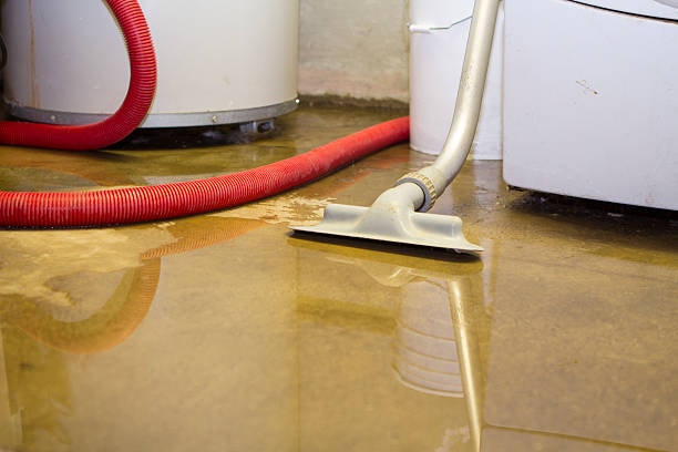 Best Water damage restoration process  in Shady Spring, WV