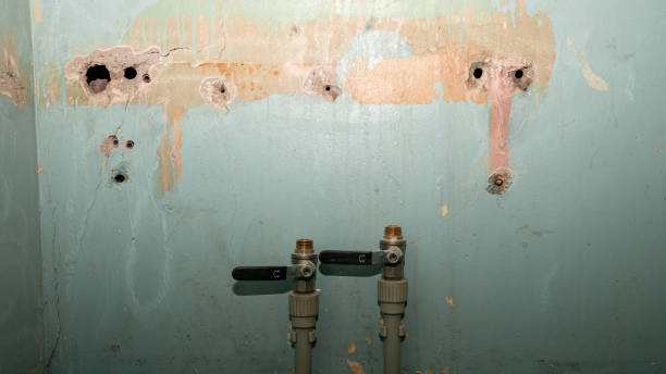 Best Water damage cleanup near me  in Shady Spring, WV
