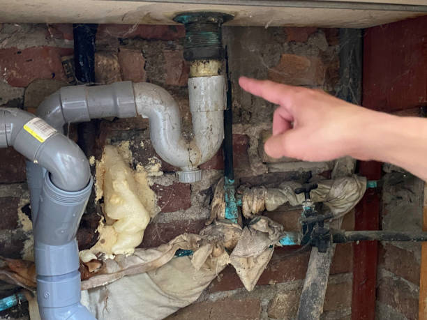 Best Water damage contractors near me  in Shady Spring, WV
