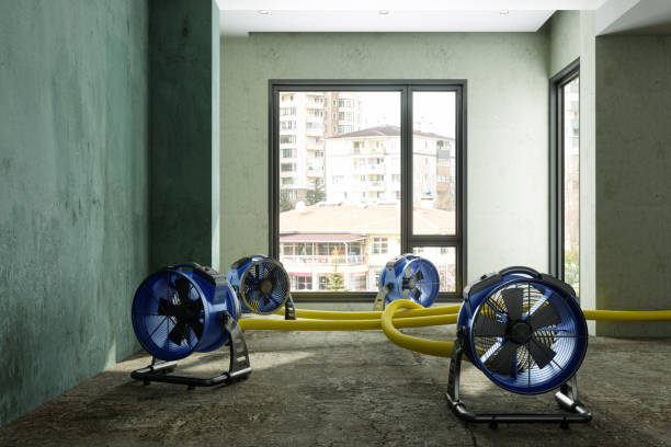 Best 24-hour water damage restoration  in Shady Spring, WV